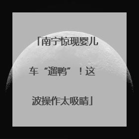 南宁惊现婴儿车“遛鸭”！这波操作太吸睛