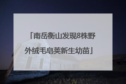 南岳衡山发现8株野外绒毛皂荚新生幼苗