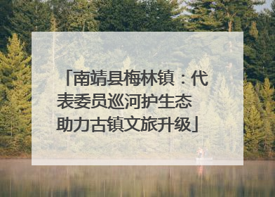 南靖县梅林镇：代表委员巡河护生态 助力古镇文旅升级