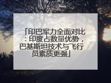印巴军力全面对比：印度占数量优势，巴基斯坦技术与飞行员素质更强