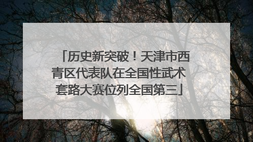 历史新突破！天津市西青区代表队在全国性武术套路大赛位列全国第三