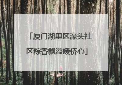 厦门湖里区濠头社区粽香飘溢暖侨心