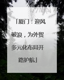 厦门：迎风破浪，为外贸多元化布局开路护航