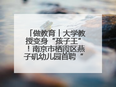 做教育︱大学教授变身“孩子王”！南京市栖霞区燕子矶幼儿园首聘“科学副园长”点燃萌娃科学梦