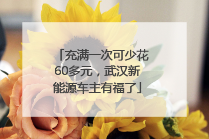 充满一次可少花60多元，武汉新能源车主有福了