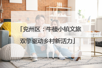 兖州区：牛楼小镇文旅双擎驱动乡村新活力