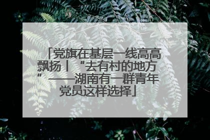 党旗在基层一线高高飘扬丨“去有村的地方”——湖南有一群青年党员这样选择