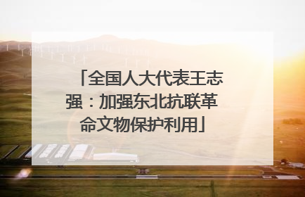 全国人大代表王志强：加强东北抗联革命文物保护利用