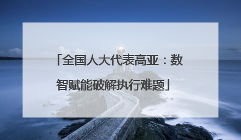 全国人大代表高亚：数智赋能破解执行难题
