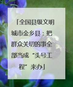全国县级文明城市金乡县：把群众关切的事全部当成“头号工程”来办