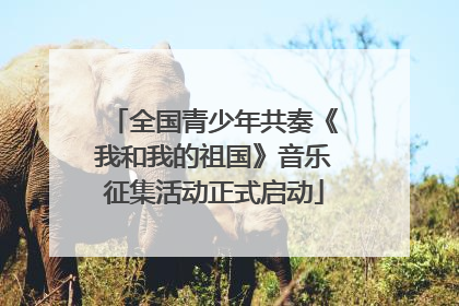 全国青少年共奏《我和我的祖国》音乐征集活动正式启动