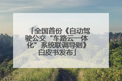 全国首份《自动驾驶公交“车路云一体化”系统联调导则》白皮书发布