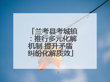 兰考县考城镇：推行多元化解机制 提升矛盾纠纷化解质效