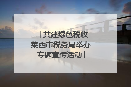 共建绿色税收 莱西市税务局举办专题宣传活动