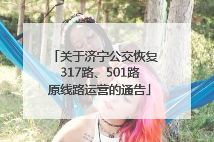 关于济宁公交恢复317路、501路原线路运营的通告