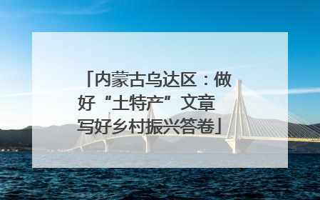 内蒙古乌达区：做好“土特产”文章 写好乡村振兴答卷