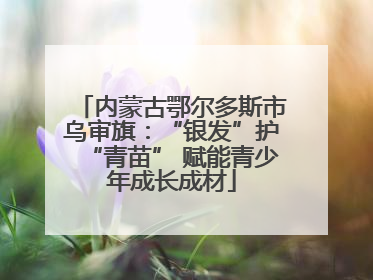 内蒙古鄂尔多斯市乌审旗：“银发”护“青苗” 赋能青少年成长成材
