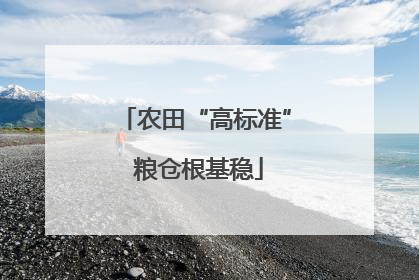 农田“高标准” 粮仓根基稳