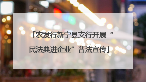 农发行新宁县支行开展“民法典进企业”普法宣传