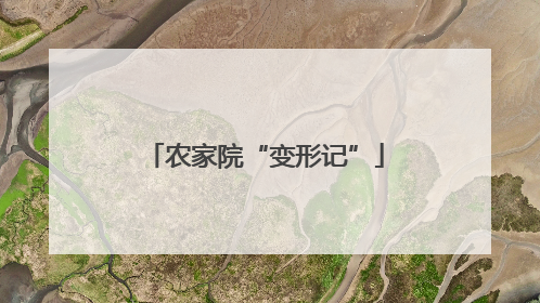 农家院“变形记”
