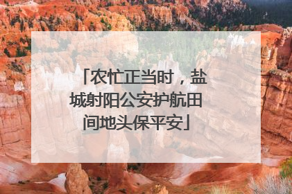农忙正当时，盐城射阳公安护航田间地头保平安