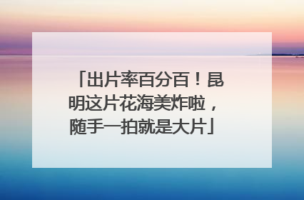 出片率百分百！昆明这片花海美炸啦，随手一拍就是大片