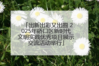 出新出彩又出圈 2025年硚口区新时代文明实践优秀项目展示交流活动举行