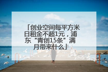 创业空间每平方米日租金不超1元，浦东“青创15条”满月带来什么