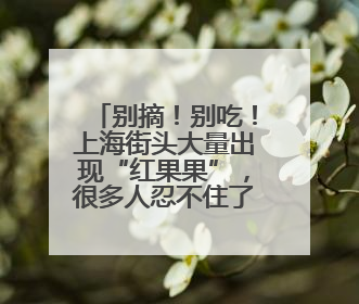 别摘！别吃！上海街头大量出现“红果果”，很多人忍不住了……