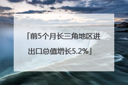 前5个月长三角地区进出口总值增长5.2%