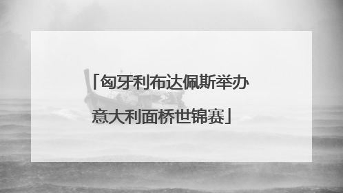 匈牙利布达佩斯举办意大利面桥世锦赛