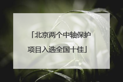 北京两个中轴保护项目入选全国十佳