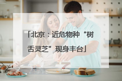 北京：近危物种“树舌灵芝”现身丰台