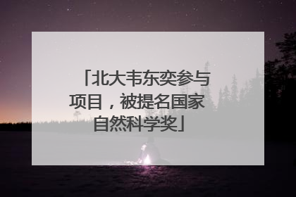 北大韦东奕参与项目，被提名国家自然科学奖