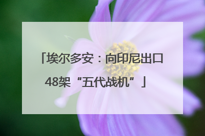 埃尔多安：向印尼出口48架“五代战机”