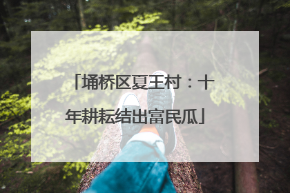 埇桥区夏王村：十年耕耘结出富民瓜