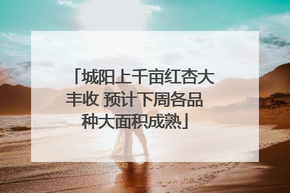 城阳上千亩红杏大丰收 预计下周各品种大面积成熟