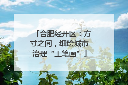 合肥经开区：方寸之间，细绘城市治理“工笔画”