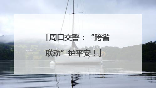 周口交警：“跨省联动”护平安！