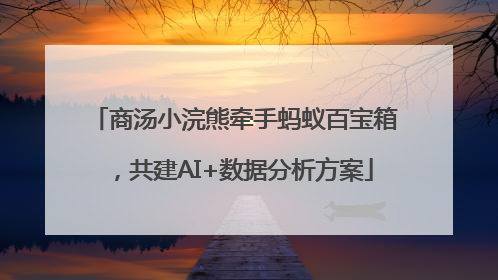 商汤小浣熊牵手蚂蚁百宝箱，共建AI+数据分析方案