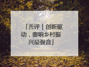 善评｜创新驱动，奏响乡村振兴最强音