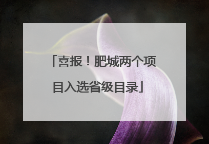 喜报！肥城两个项目入选省级目录