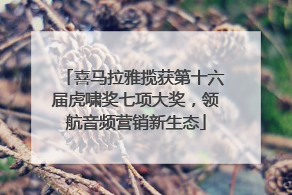 喜马拉雅揽获第十六届虎啸奖七项大奖，领航音频营销新生态