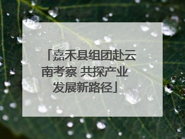 嘉禾县组团赴云南考察 共探产业发展新路径