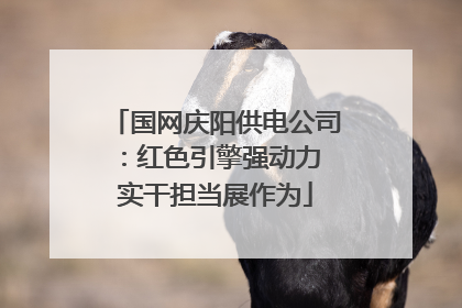 国网庆阳供电公司：红色引擎强动力 实干担当展作为