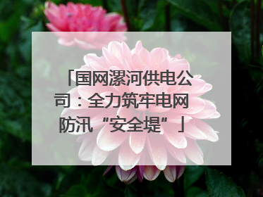 国网漯河供电公司：全力筑牢电网防汛“安全堤”