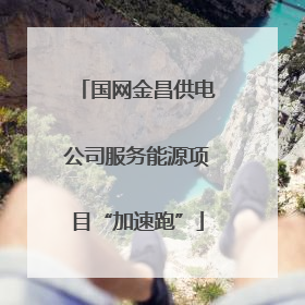 国网金昌供电公司服务能源项目“加速跑”