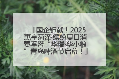 国企钜献！2025惠享菏泽·缤纷夏日消费季暨“华瑞·华小粮”青岛啤酒节启幕！