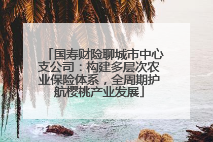 国寿财险聊城市中心支公司：构建多层次农业保险体系，全周期护航樱桃产业发展