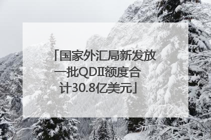 国家外汇局新发放一批QDII额度合计30.8亿美元